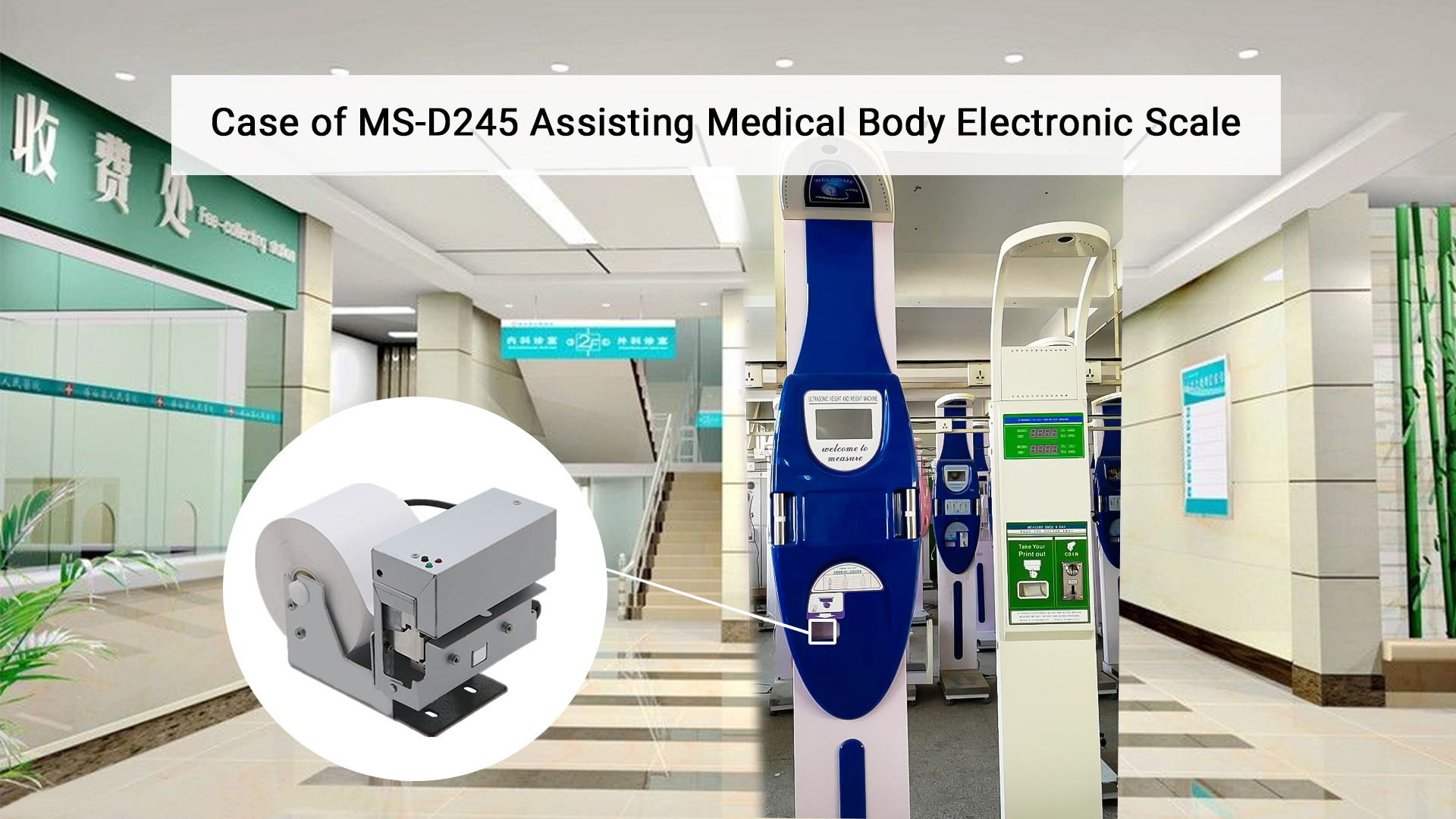 assisting medical body electronic scale