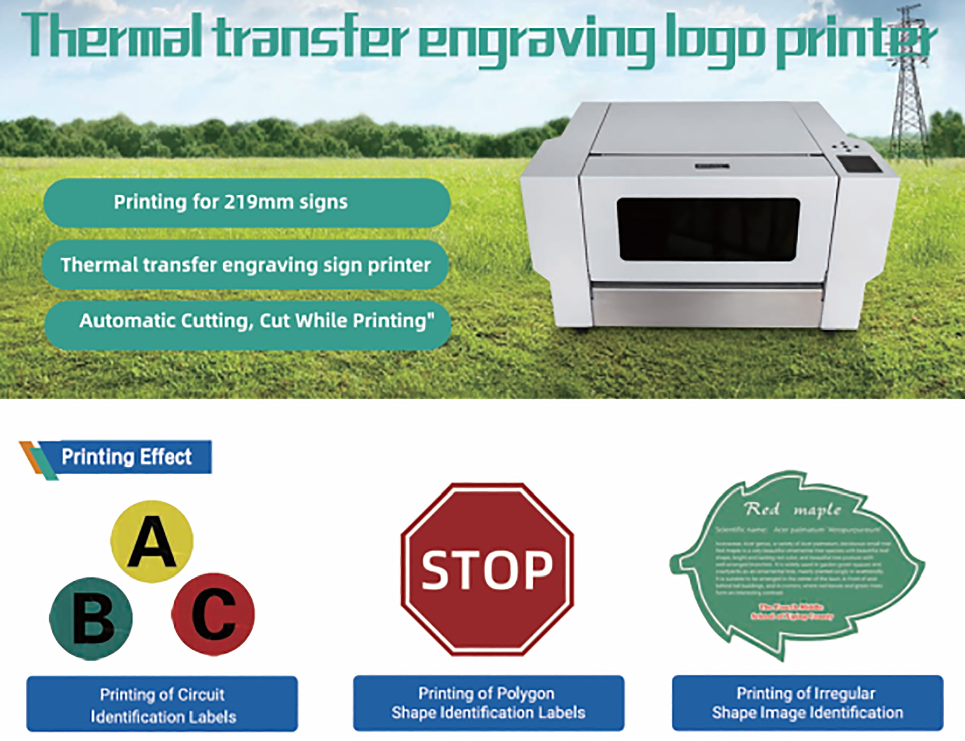 Thermal transfer printer