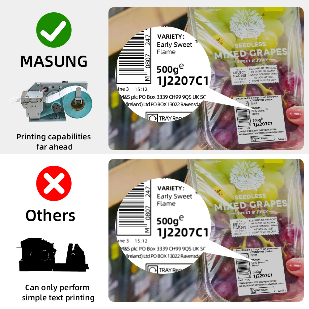 MASUNG MS-LP212A High-Speed 58MM Thermal Shipping Sticker Printer Roll To Roll Receipt Thermal Label Modules in Stock